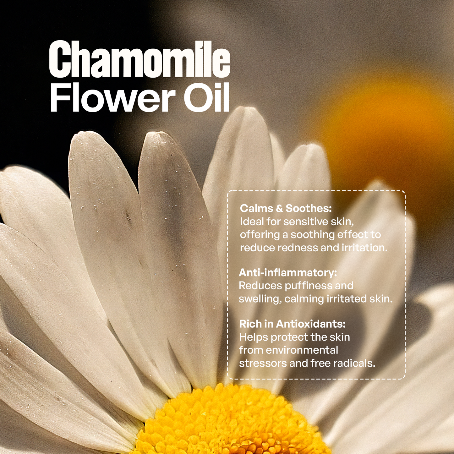 Manuka Honey Chamomile Tallow Body Balm