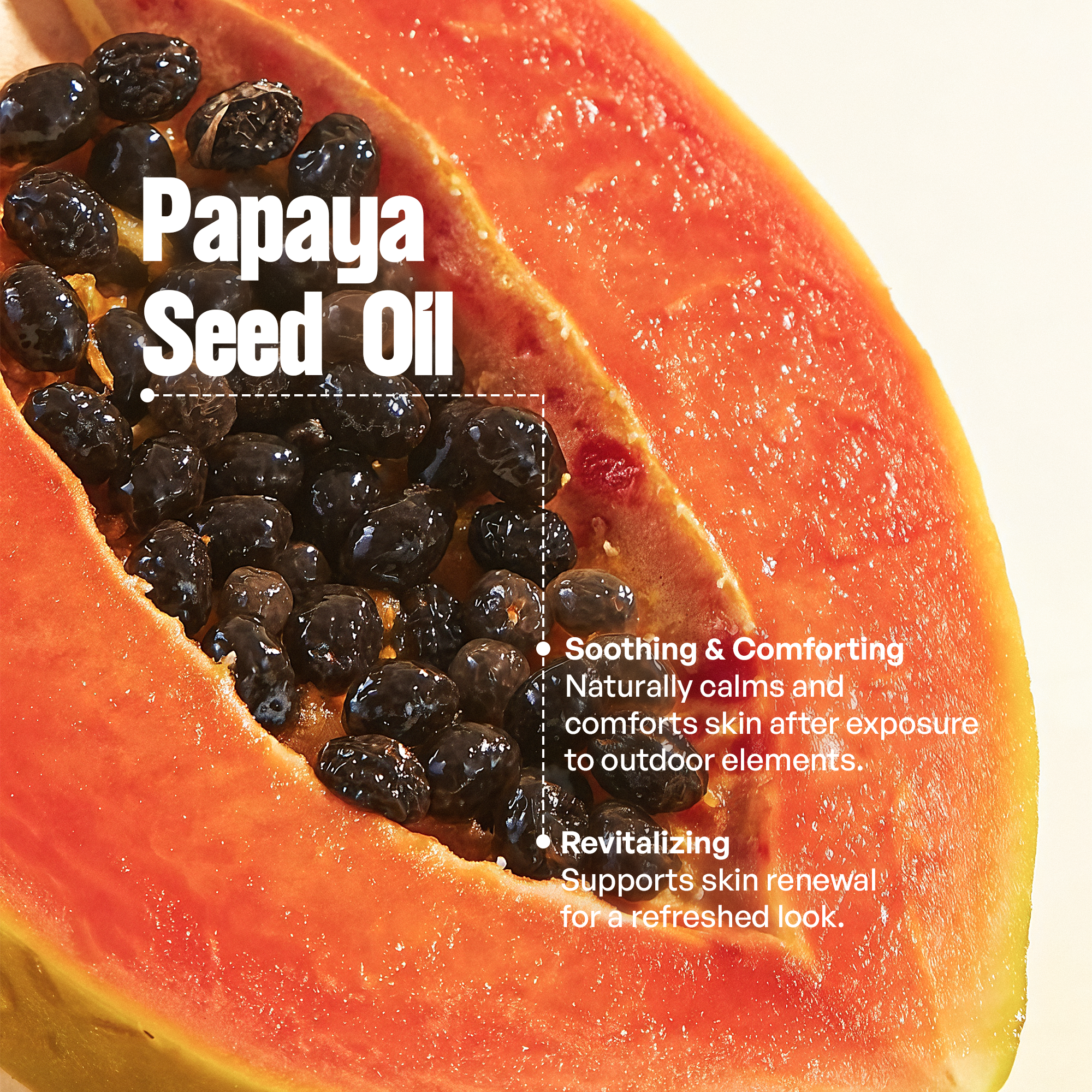 Tallow Zinc Sun Stick