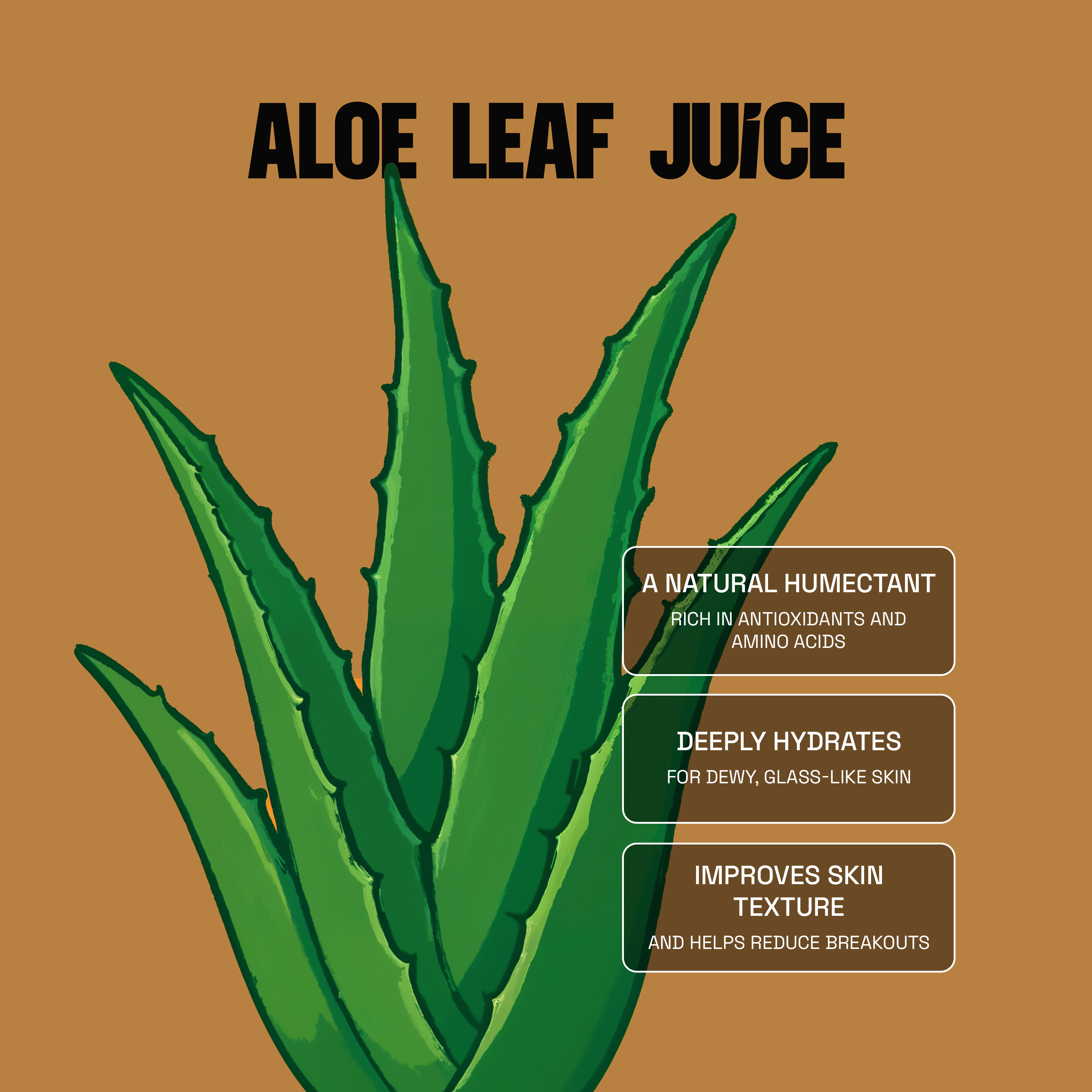 Foaming Oil Cleanser