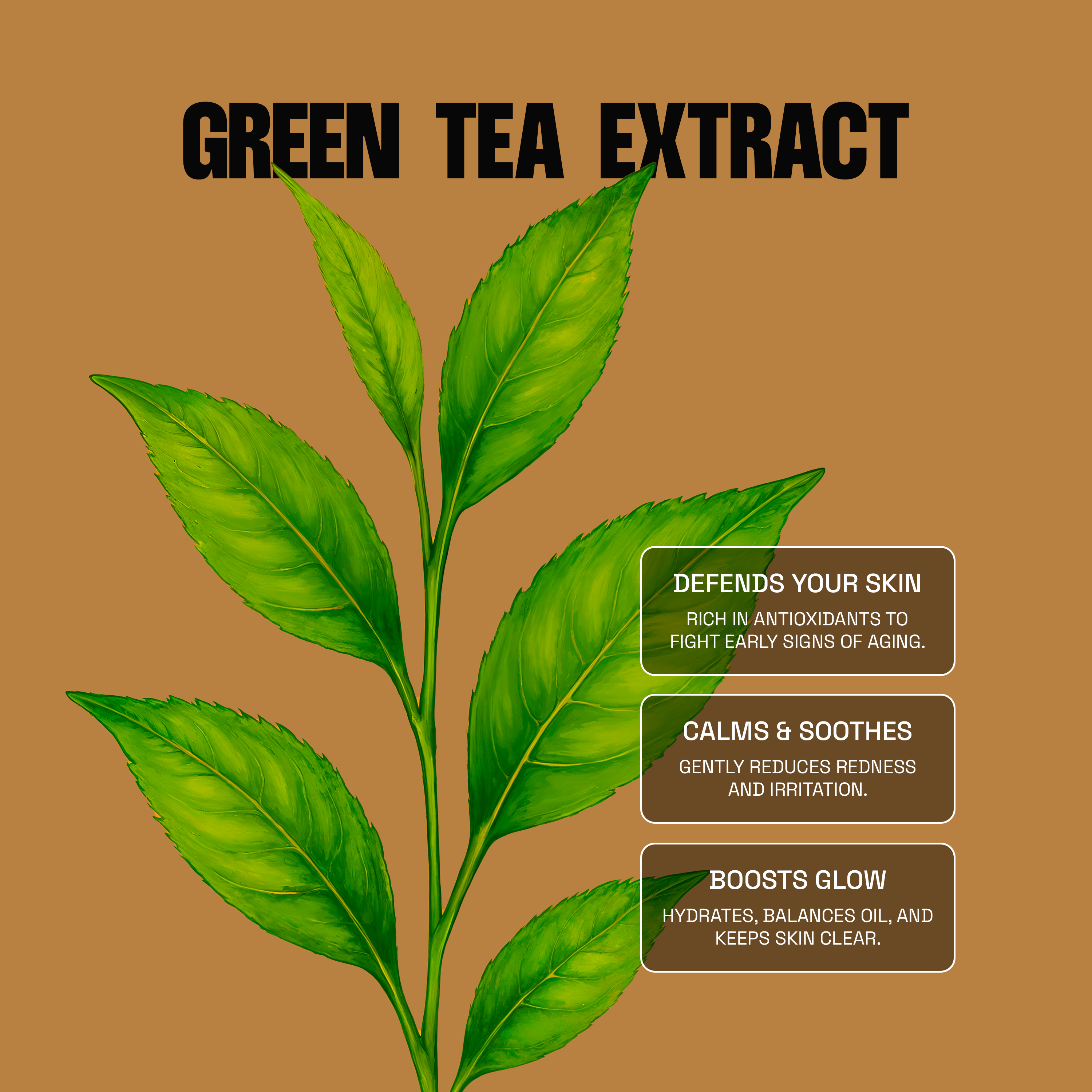 Full Face Moisture Set